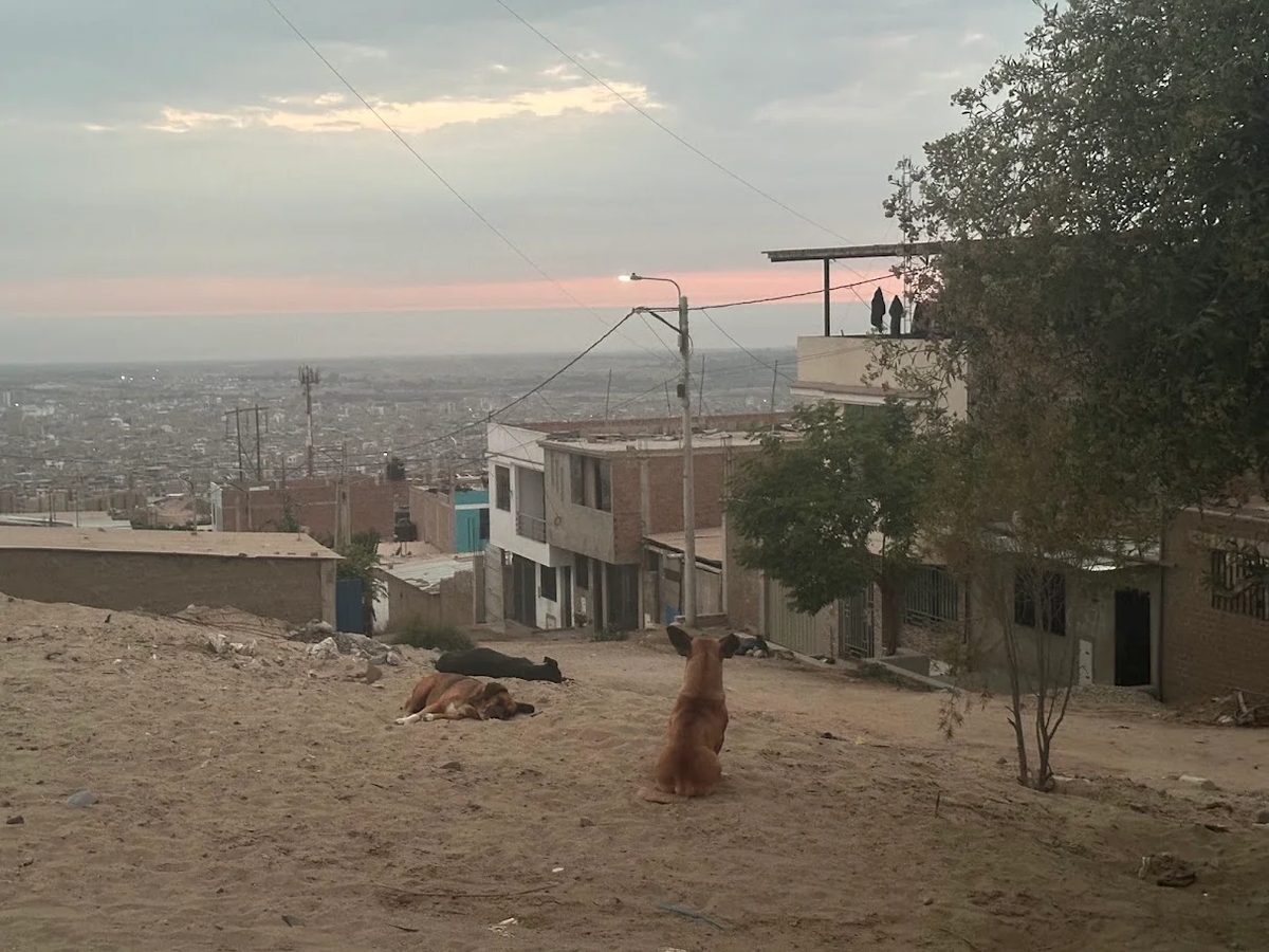 Thaís Armengol en Alto Trujillo, Perú — periodismo de investigación sobre crimen organizado y extorsión